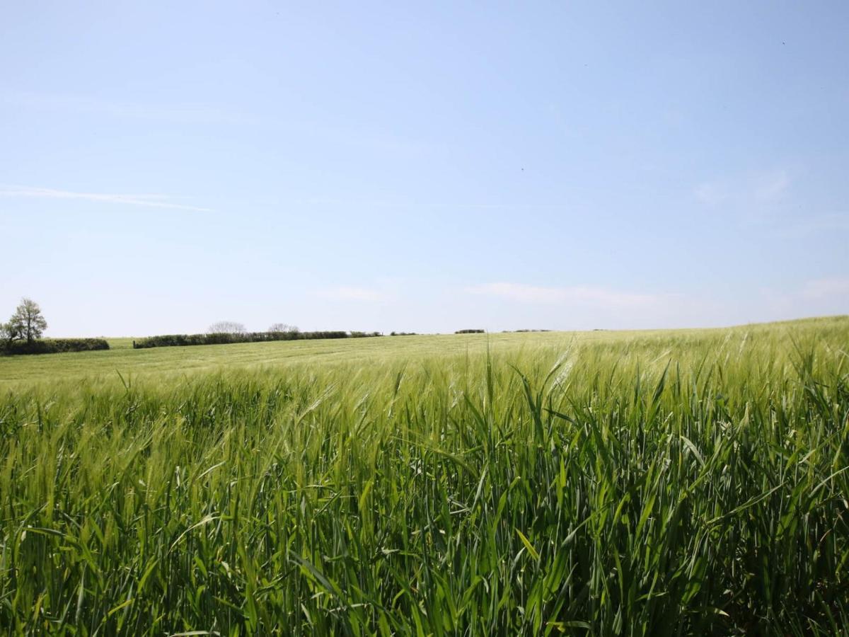 Trenona Farm Holidays Truro Esterno foto